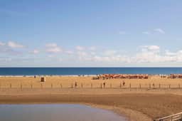 Refurbished sea front in Maspalomas - Image 2