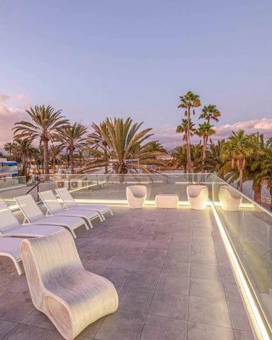 Rooftop terrace with white lounge chairs, palm trees, and waterfront view at sunset