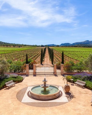Courtyard with central fountain overlooking vineyard rows, cypress trees, and mountains beyond