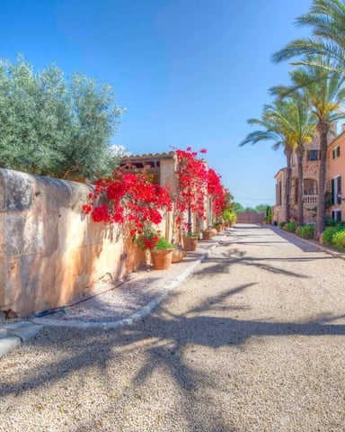 Gravel driveway lined with red bougainvillea flowers and palm trees, leading to terracotta-colored Mediterranean buildings
