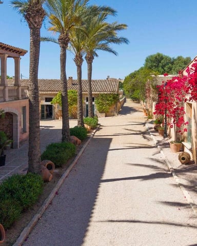 Mediterranean courtyard with terracotta buildings, palm trees, and bright red bougainvillea flowers covering stone walls