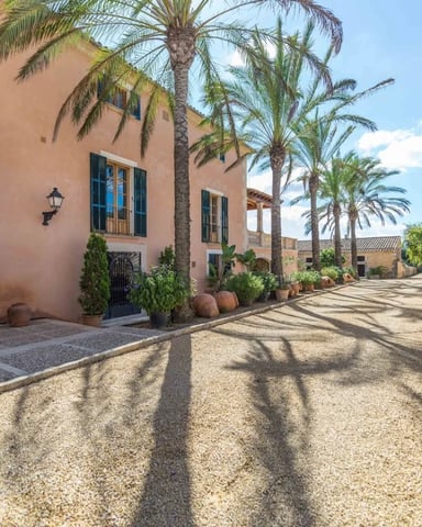 Mediterranean courtyard with terracotta buildings, palm trees, and gravel pathway lined with potted plants